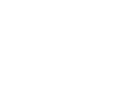 Fencing Options